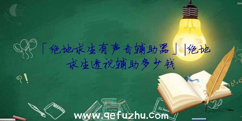 「绝地求生有声音辅助器」|绝地求生透视辅助多少钱